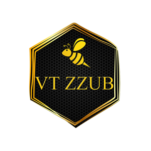VTZZUB INC